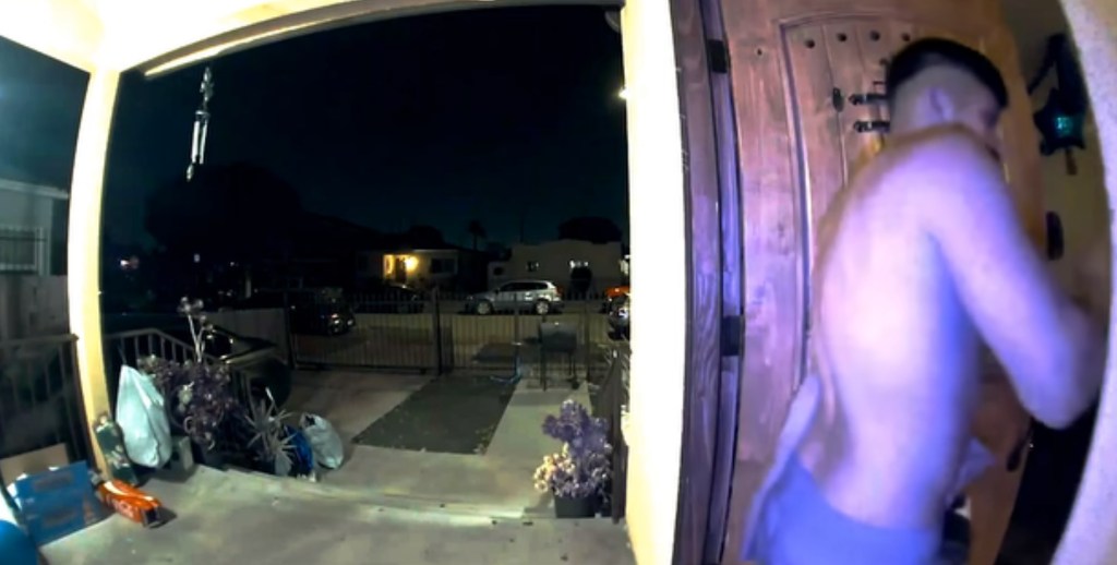 Screenshot of the suspect from a March 26 LA home break-in.