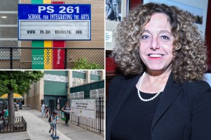 Brooklyn civil court Judge Jill Epstein/ PS 261