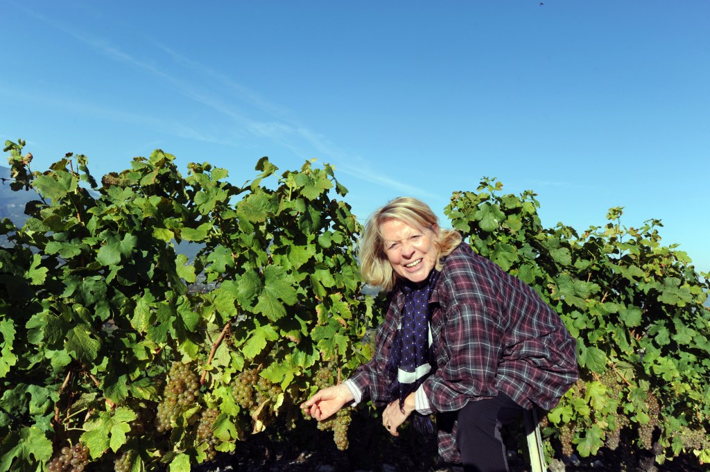 Claire Taittinger is pictured kneeling in the family's vineyard.