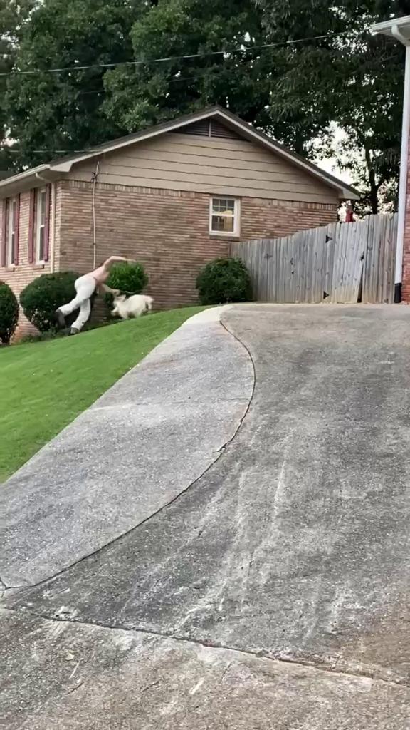 Ward Webb jumps to catch the goat.