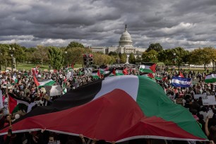 Palestinian protest in Washington, large Palestine flag unfurled