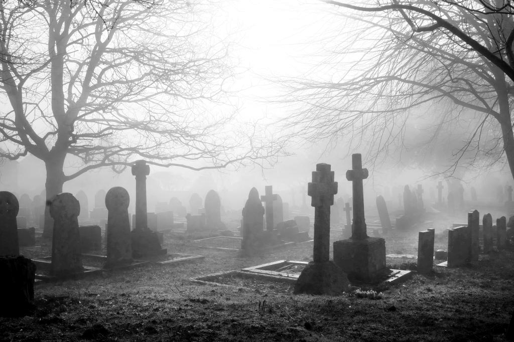 An eary mist covering an English grave yard with about fifty grave stones, the headstones in the foreground are in the shape of large Cristian crosses, two large winter trees