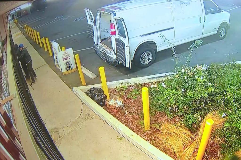 The thieves arrived in a large white Chevy van and parked outside the closed store