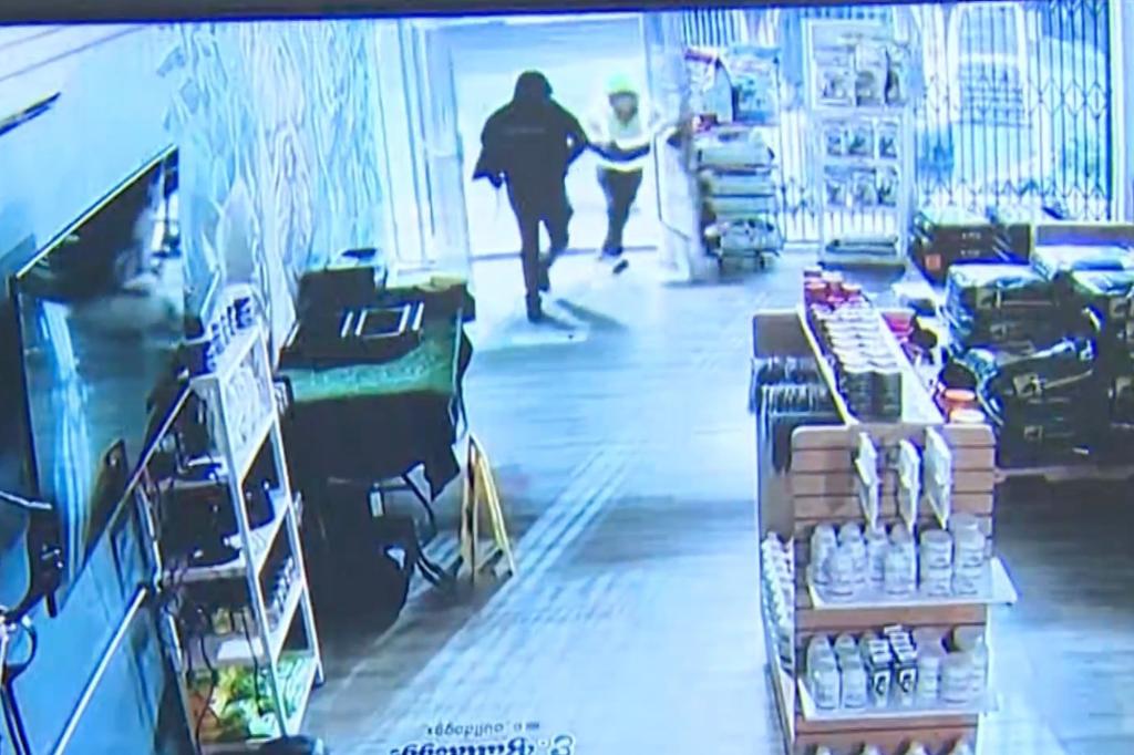 Thieves seen on video breaking into the Gardena pet store