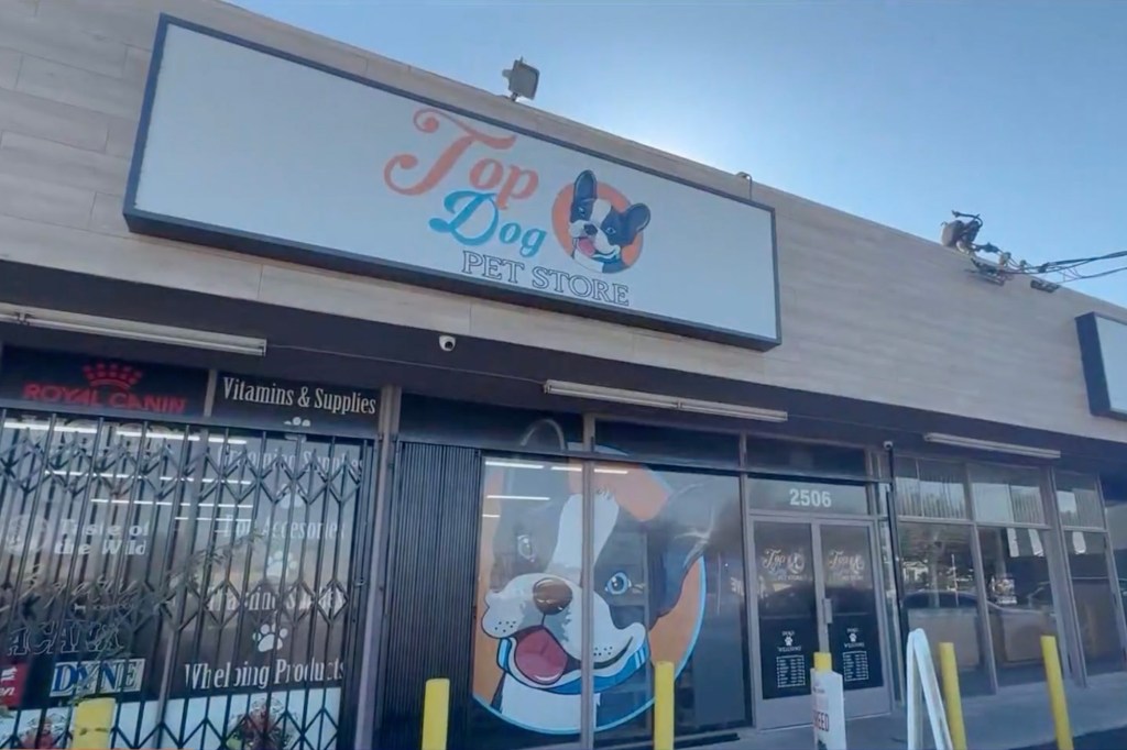 Top Dog Pet Store in Gardena, California 