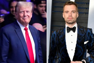 Marvel actor Sebastian Stan had been cast as a younger Donald Trump in the upcoming film "The Apprentice" by Iranian filmmaker Ali Abbasi.