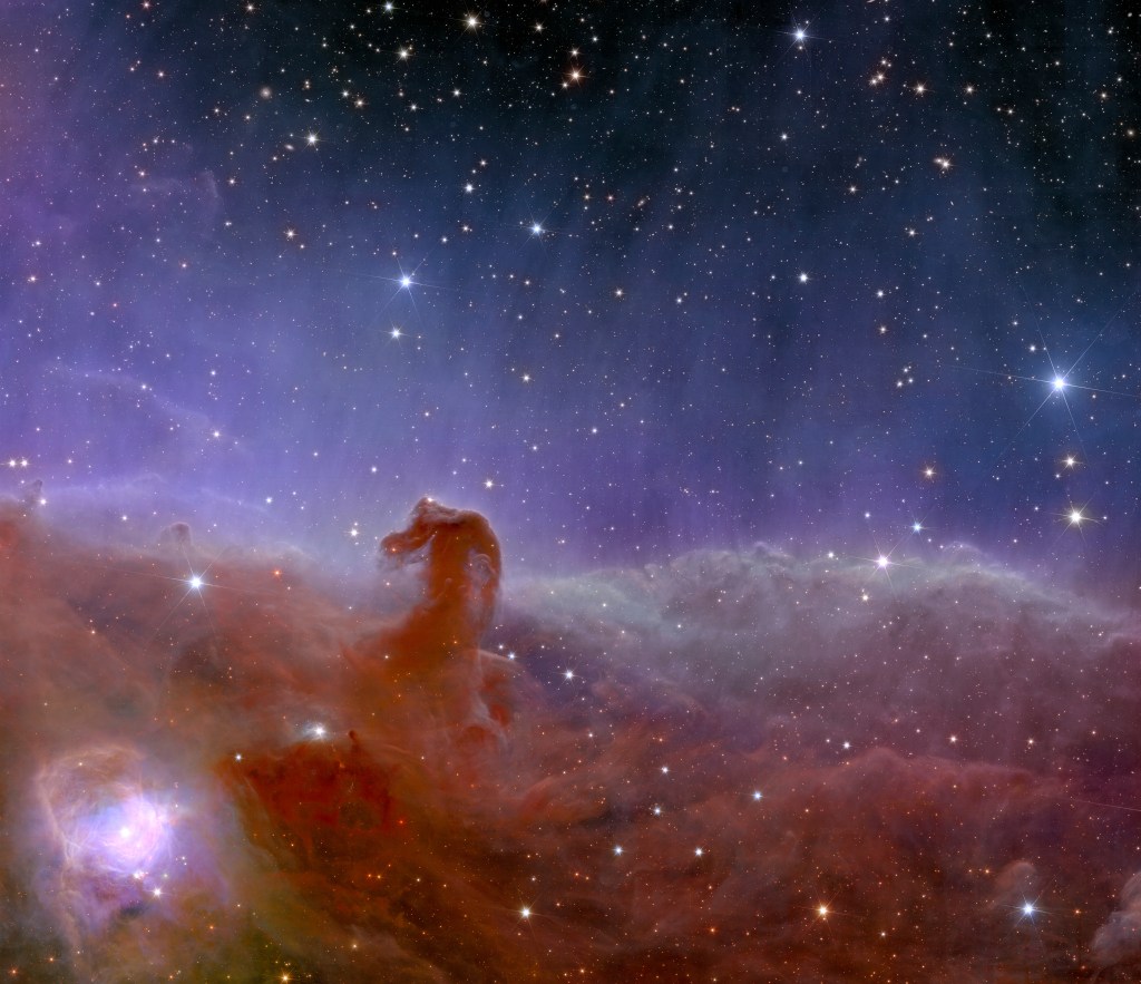 Stunning photos of the Horsehead Nebula were taken by Euclid.