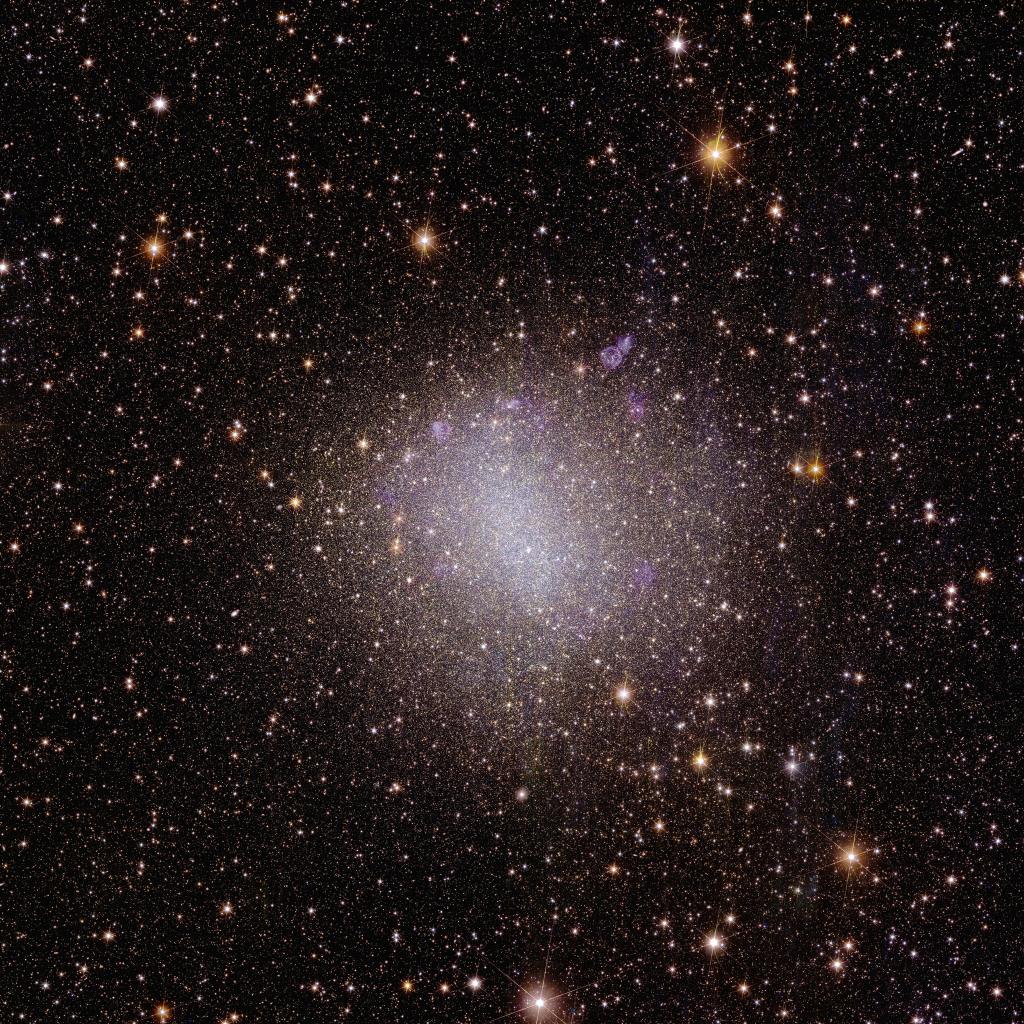 Irregular NGC 6822 was seen by Euclid.
