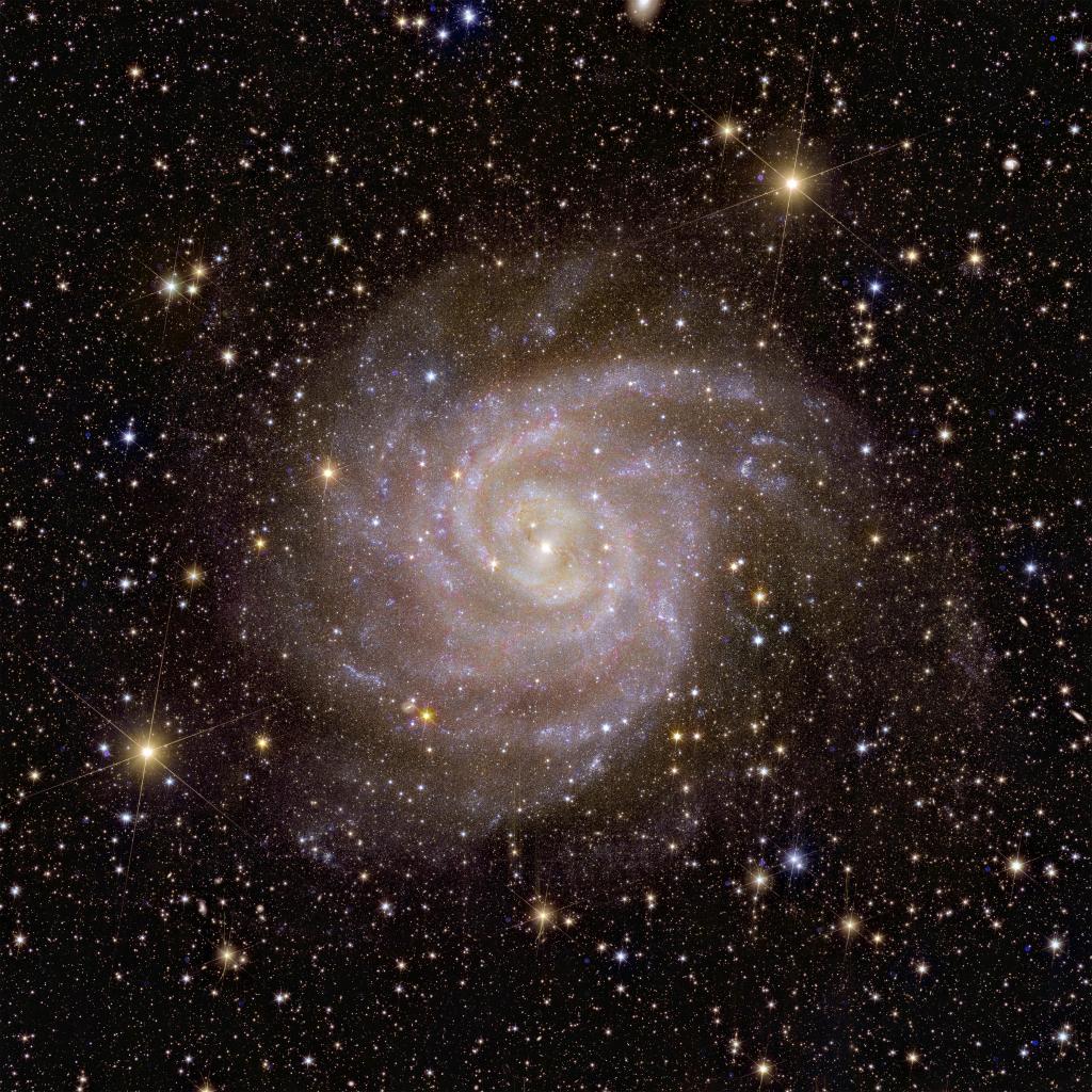 Nearby spiral galaxy IC 342 was photographed.