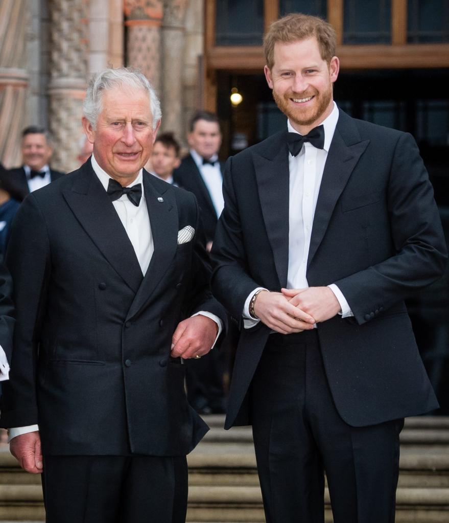 Charles and Harry are pictured back in 2019. 