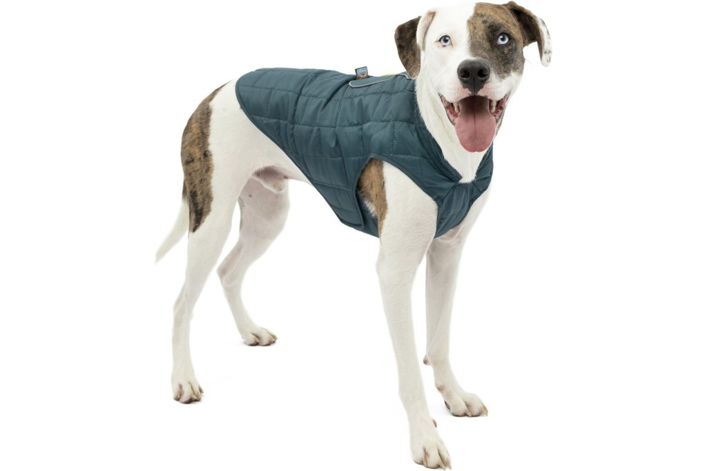 Dog coat