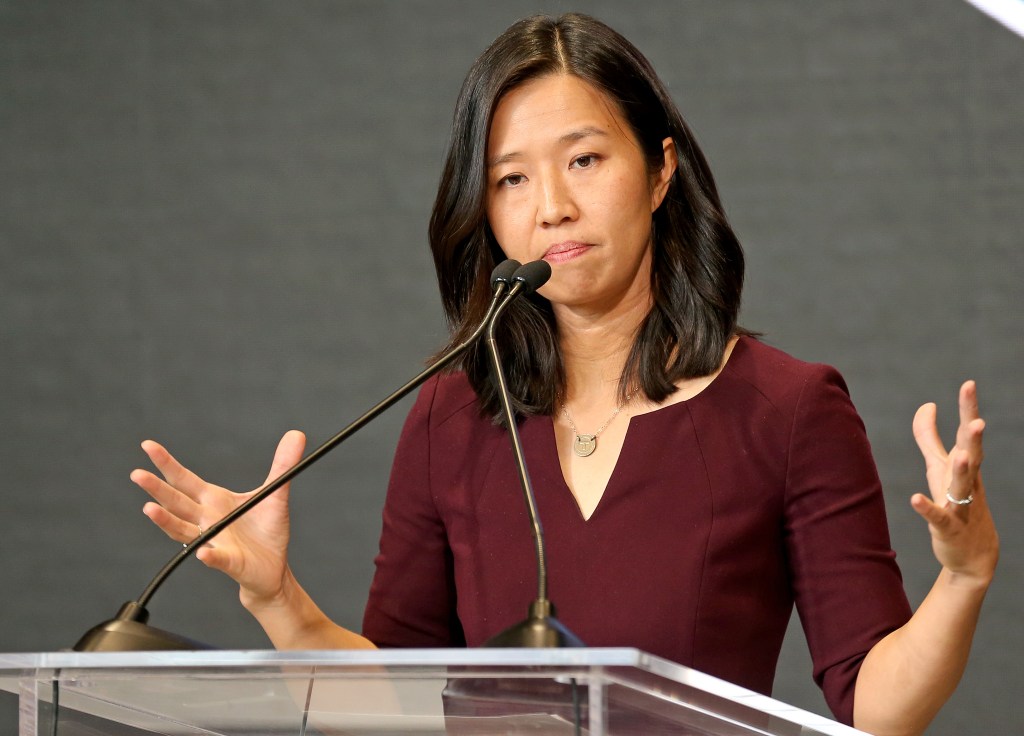 Boston Mayor, Michelle Wu was swatted on Christmas Day after being criticized for hosting the "Electeds of Color Holiday Party" on Dec. 13.