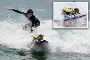 A 4-year-old Jack Russell terrier named Efruz has taken to surfing after being introduced to the sport by his owner, surfing instructor Mauro Canella, in Peru