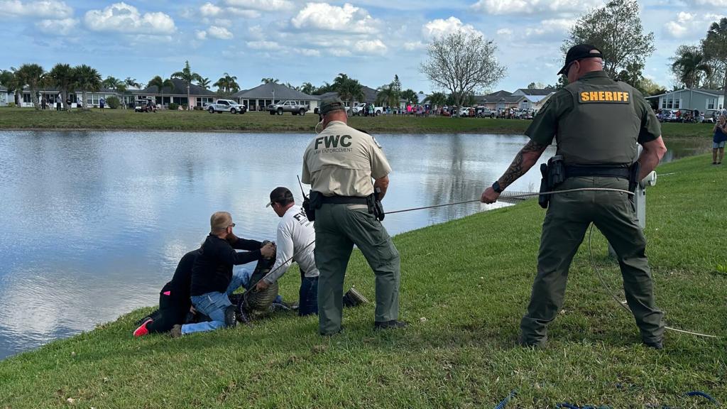St. Lucie County Sheriff's Office shows law enforcement officers and Florida Fish and Wildlife investigators responding to a deadly alligator attack on an 85-year-old woman who was walking her dog, in Fort Pierce, Florida on February 20, 2023.