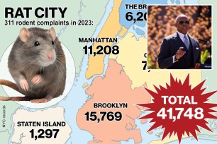 rat adams