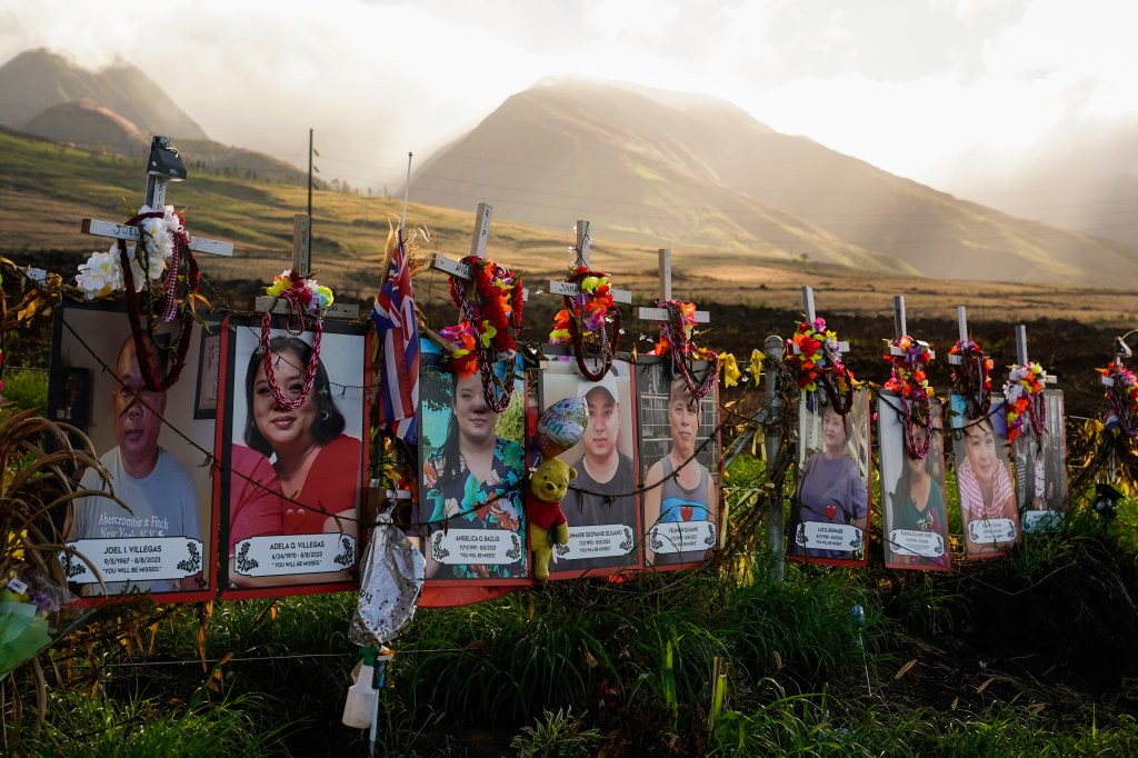 Photos of wildfire victims displayed on white crosses at a memorial above a highway fence in Lahaina, Hawaii.