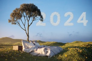 A bed under a tree and 2024 clouds