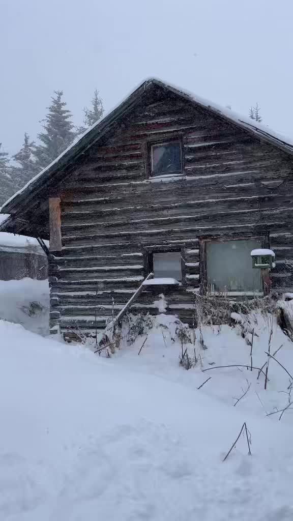 "The cabin looked very different when I lived there before," Wilcox noted.