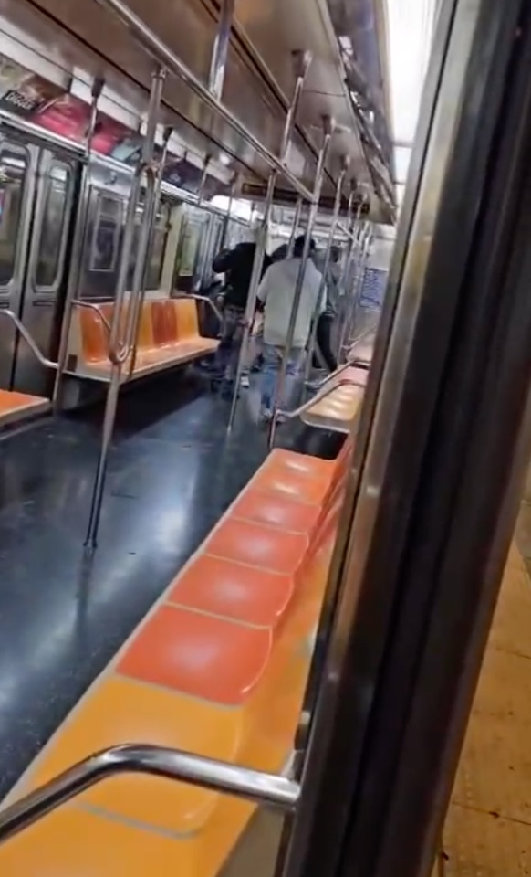 Screenshot from a video that captured NYPD Lt. Gypsy Pichardo being assaulted on the evening of Nov. 11 on a northbound  #1 subway train at West 238th Street in the Bronx.