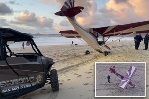 Luis Aires, 50, has been charged with theft of an airplane for allegedly stealing a single-engine plane from a California airport and crash-landing it on a beach, before walking away