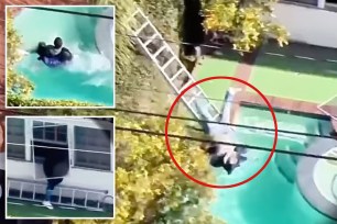 David Verdun, 36, has been arrested after police said he was caught on a drone video falling from a ladder into a pool at the Beverly Hills home he had burglarized