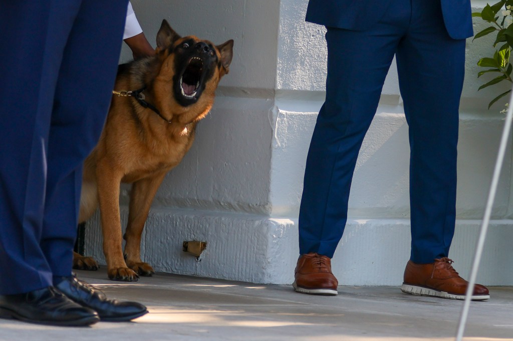 President Biden's dog, Commander, stands by him on the south lawn of the White House as he departs for the G7 summit in Europe.