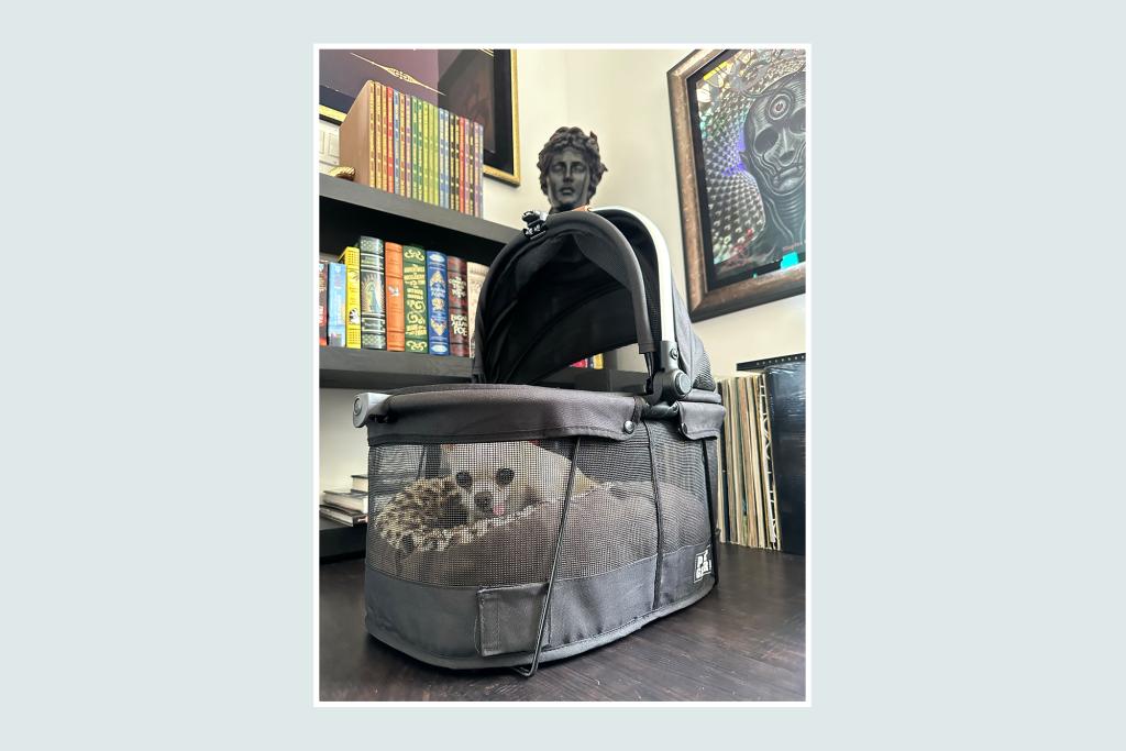 A black and white pet carrier on a table