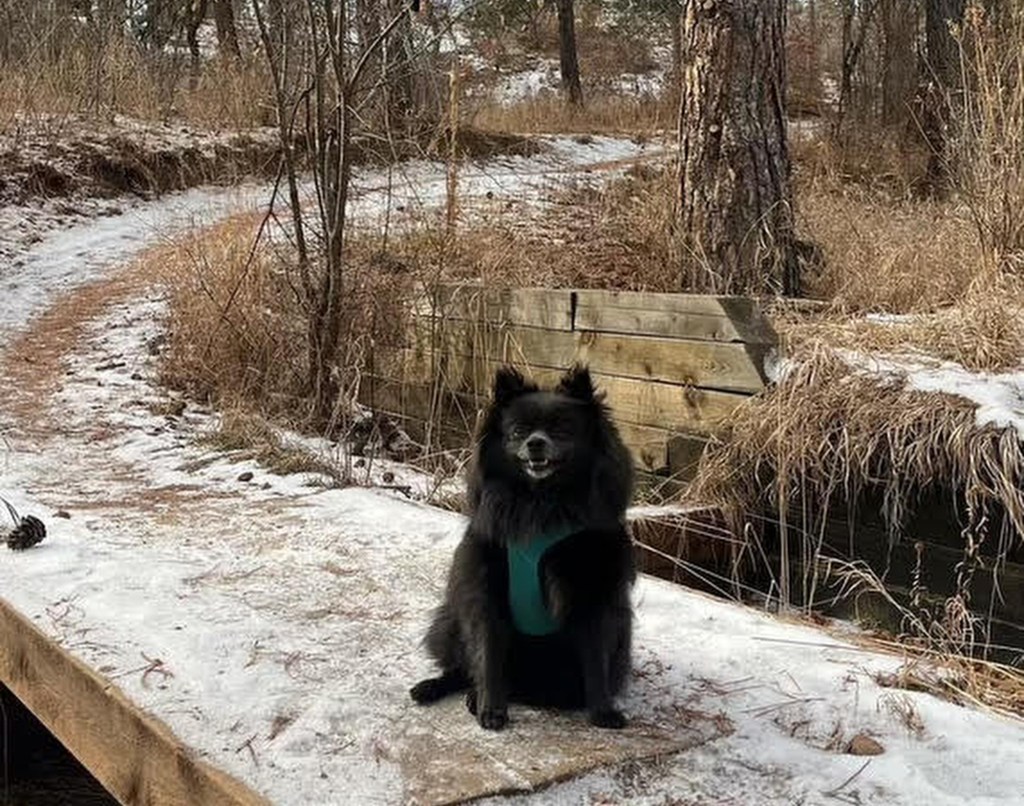 Guiselle Torres of Colorado Springs, which ranked number one on the list, said there are so many outdoor trails there to explore with her dog, Risa. 