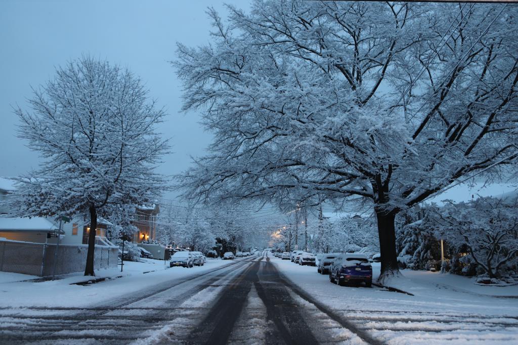 Snowy street with cars and trees.