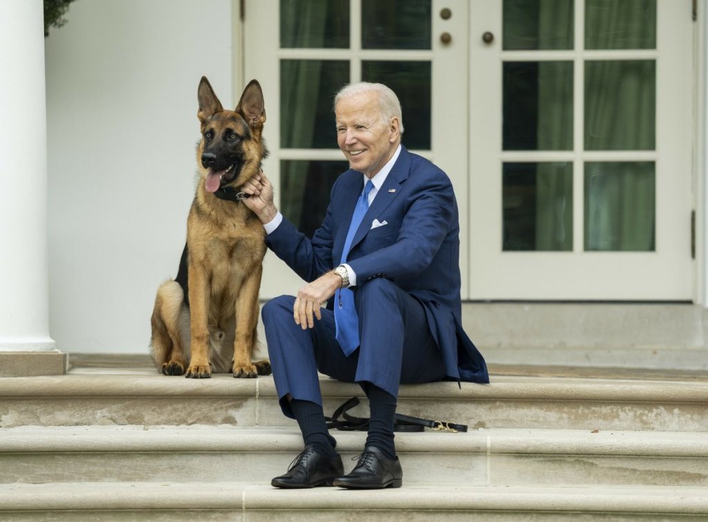 President Joe Biden, sitting on steps with his dog, Commander.