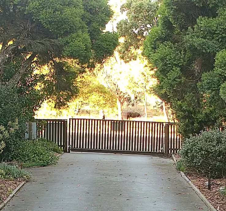 The CCTV captured Ms Murphy running past a Ballarat home. 