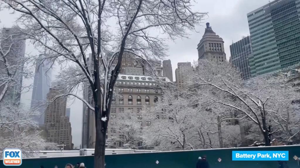 Snow covered trees and buildings in Battery Park
