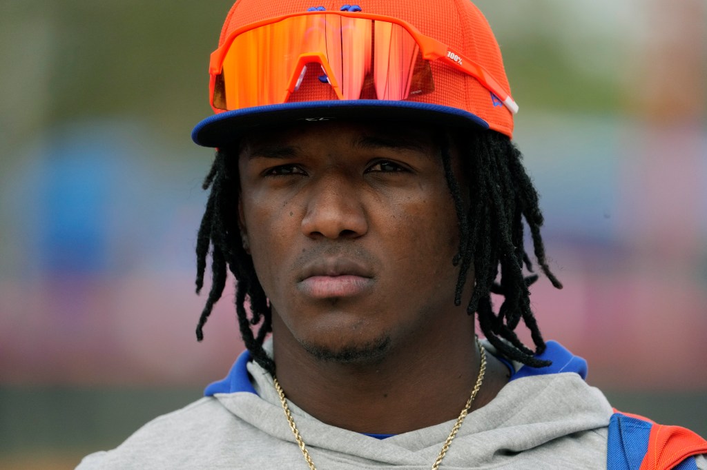 Mets prospect Luisangel Acuna