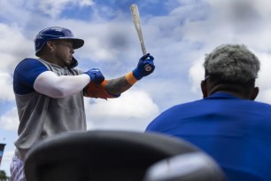 Mets catcher Francisco Alvarez (left) prepares to hit during a batting practice session.