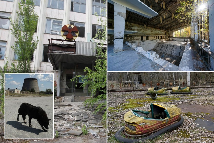 Inside the Chernobyl Exclusion Zone where mutant wolves have developed cancer-resilient genomes: photos