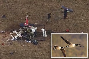 The crashed helicopter and a photo of geese