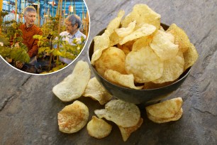 potato crisp chips