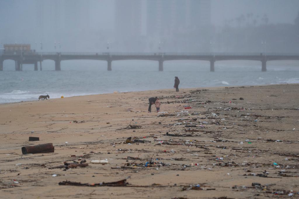 Storm debris washed up on the beach at the Peninsula in Long Beach.