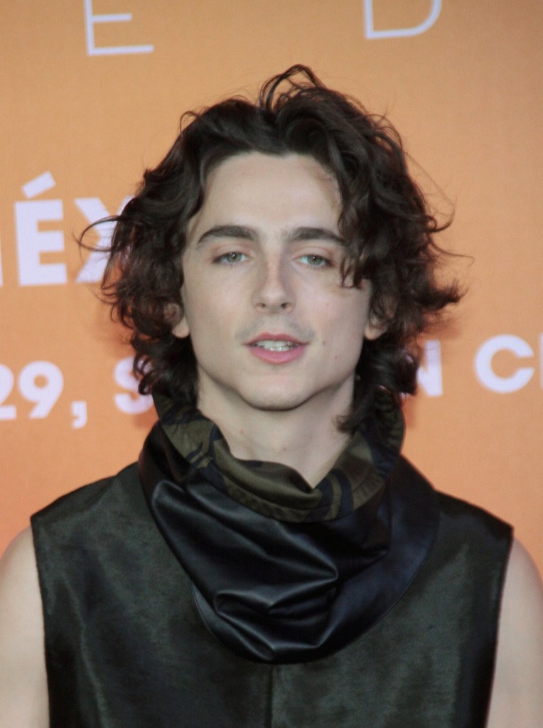 Fans think Kylie Jenner is 'turning into' boyfriend Timothée Chalamet with new hairdo