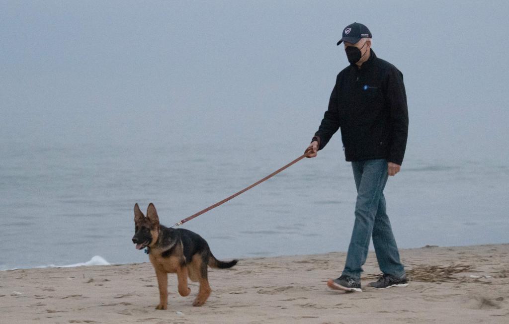 Biden walking Commander at Rehoboth Beach on Dec. 28, 2021.