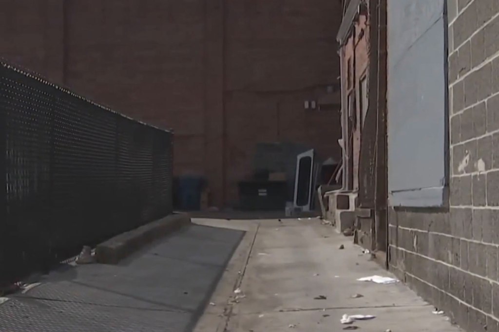 The alley where Brown was killed