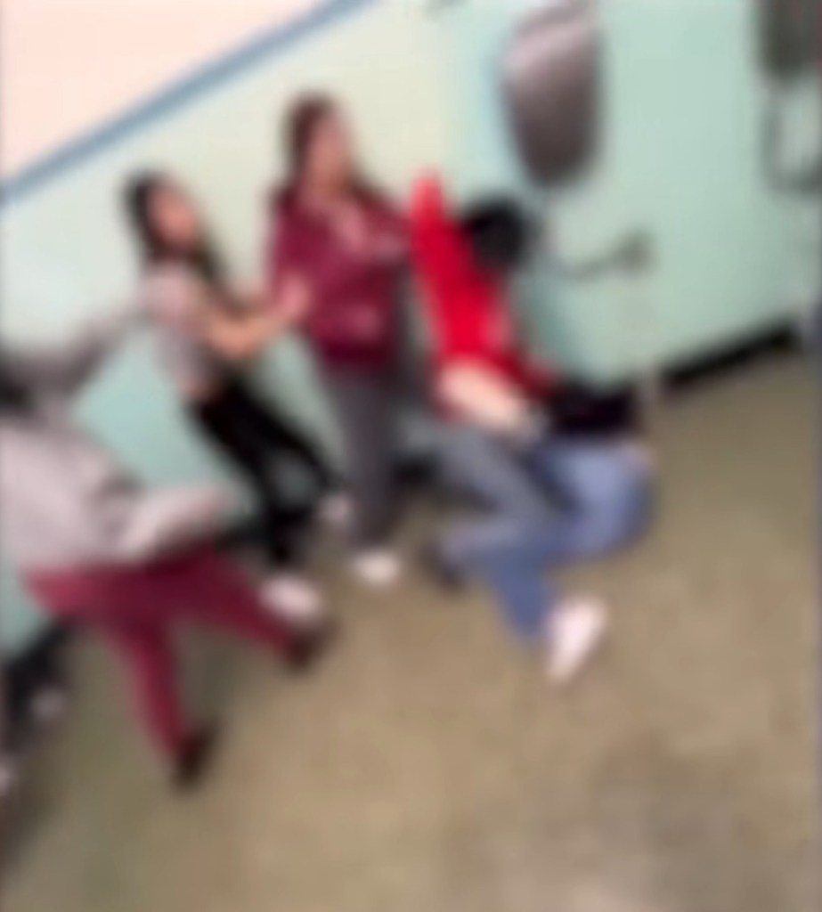 Several fights Mejia was involved in were caught on camera by her friends.