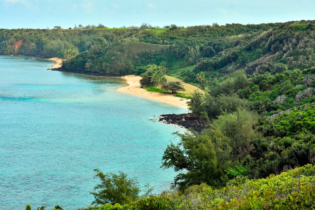 Public beach with trees, hillside, and ridge top land owned by Mark Zuckerberg in background, near Kilauea on north shore of Kauai, Hawaii.