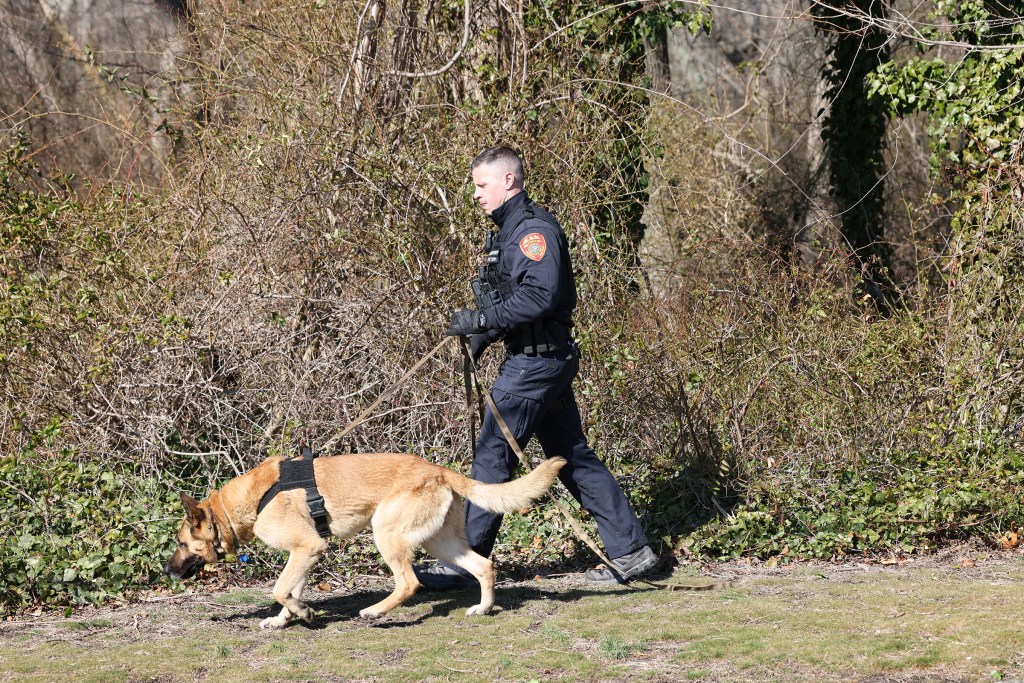 Policeman and dog