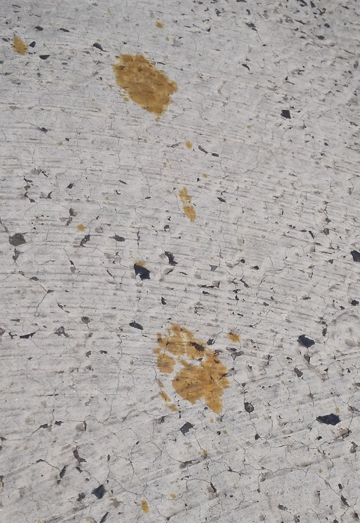 This handout picture taken and released by Nomura Plating on March 12, 2024 shows footprints believed to be from a cat that fell into a tank containing toxic hexavalent chromium at the plating factory in Fukuyama, Hiroshima Prefecture.