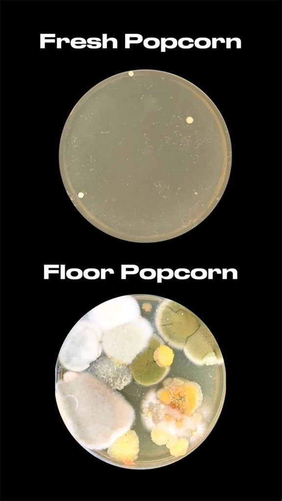 Side-by-side comparison of two types of popcorn in a dish.