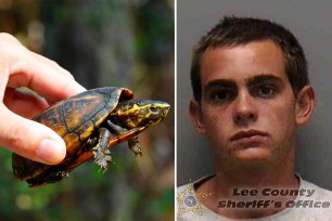 A turtle on the left and John Kreatsoulas on the right.