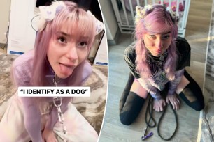 Meow Dalyn, a Twitch streamer from the US, who identifies as a dog.