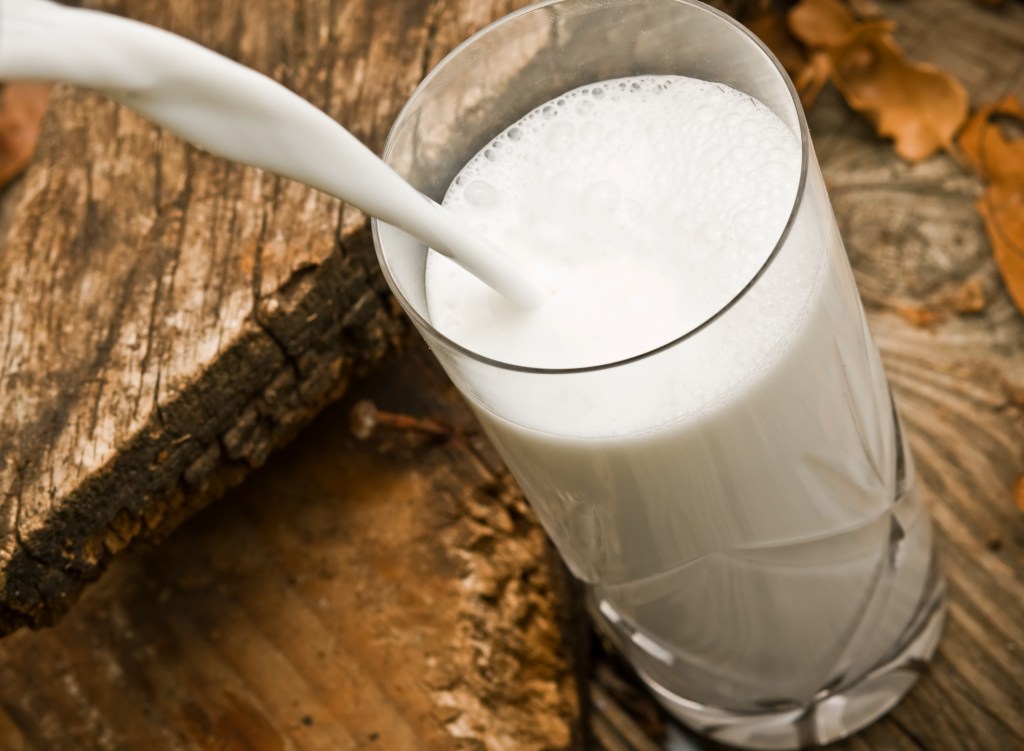 Whole milk, a hit or miss for people choosing to include it in their diets, has been linked to lowering the risk of obesity and Type 2 diabetes. 