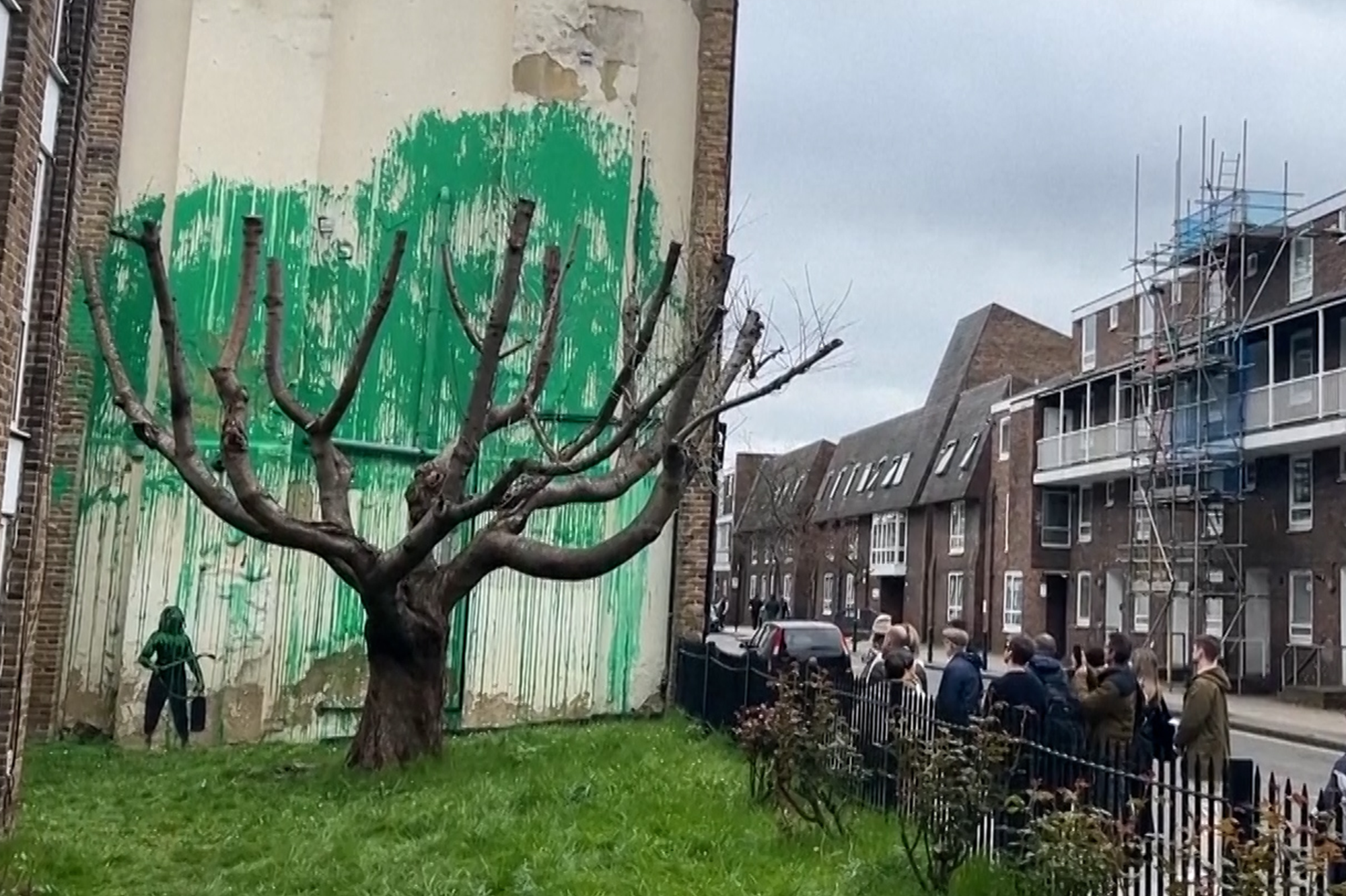 A new Banksy mural sprouts beside a cropped tree in London